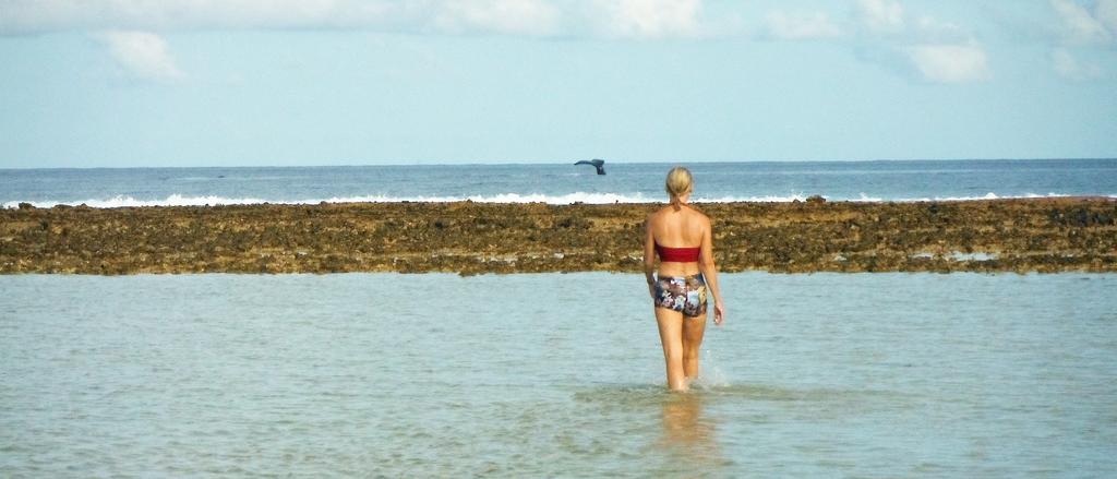 Hakamanu Lodge Tikehau Zewnętrze zdjęcie